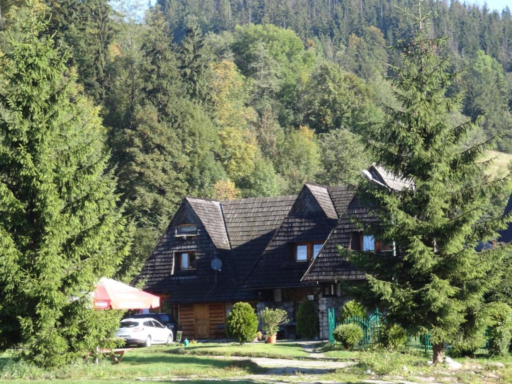 Camping Harenda Pokoje Goscinne I Domki ซาโกปาเน ห้อง รูปภาพ